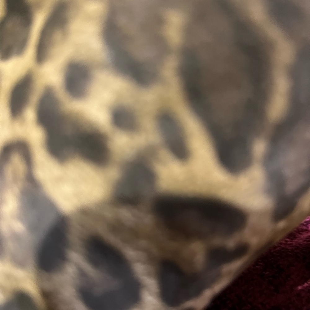 Ladies heeled boots!!Beautiful. Leopard print - Picture 3 of 3